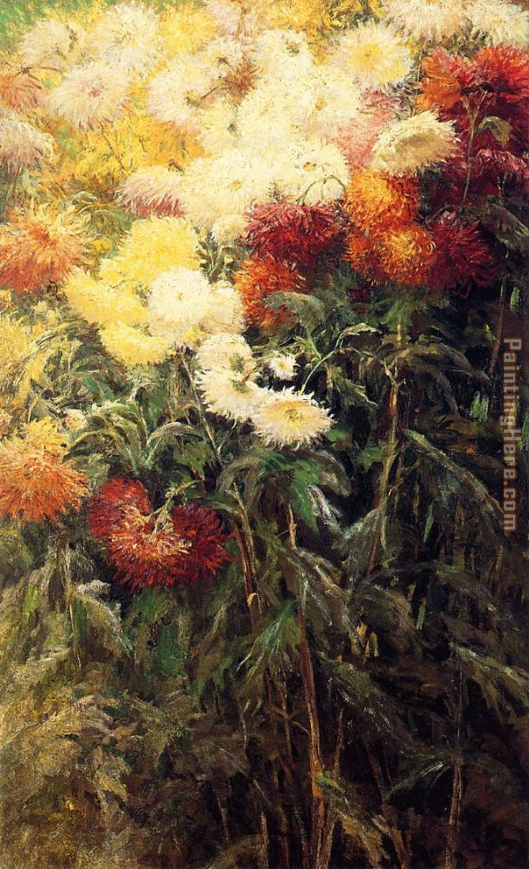 Chrysanthemums Garden at Petit Gennevilliers
